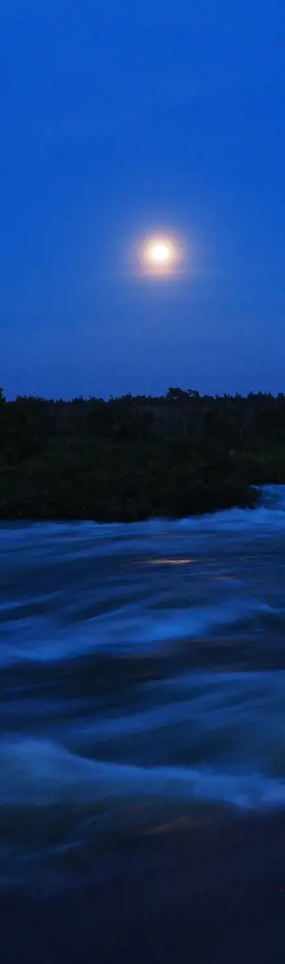 Jinja, die Quelle des Nils
